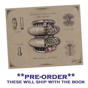 Airbag Anatomy Print (with pre-order only)