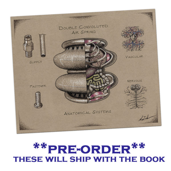 Airbag Anatomy Print (with pre-order only)